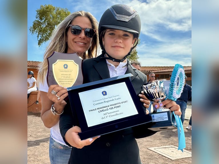 Connemara Stute 15 Jahre 149 cm Schimmel in Roma