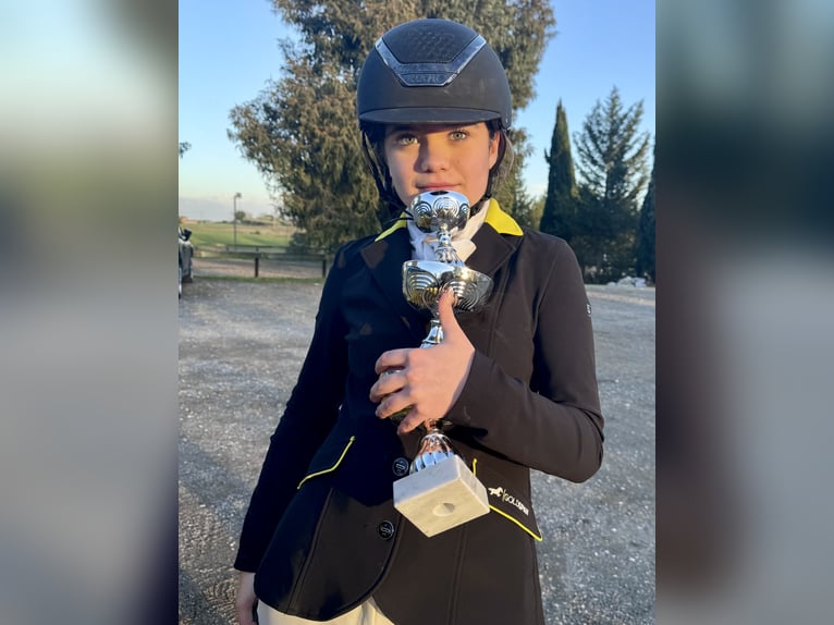 Connemara Stute 15 Jahre 149 cm Schimmel in Roma