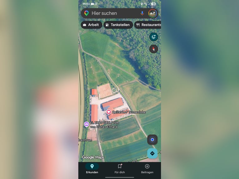 Connemara Wallach 16 Jahre 151 cm Schimmel in Erlangen