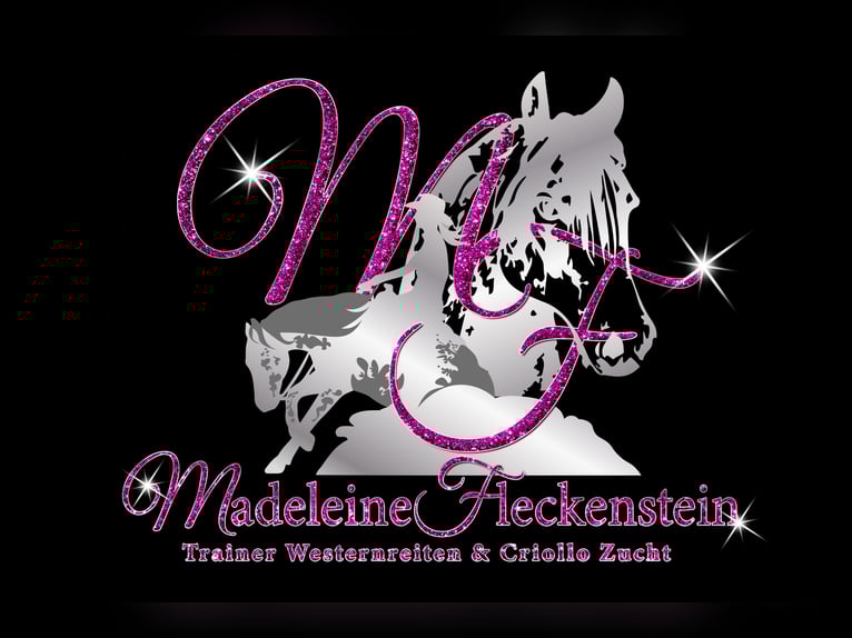 Criollo Hengst Overo-alle-Farben in Sommerkahl Criollo Hengst Overo-alle-Farben in Sommerkahl