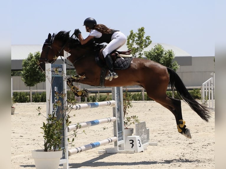 Cruzado Mare 8 years in Madrid