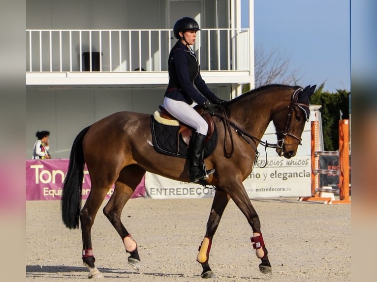 Cruzado Mare 8 years in Madrid