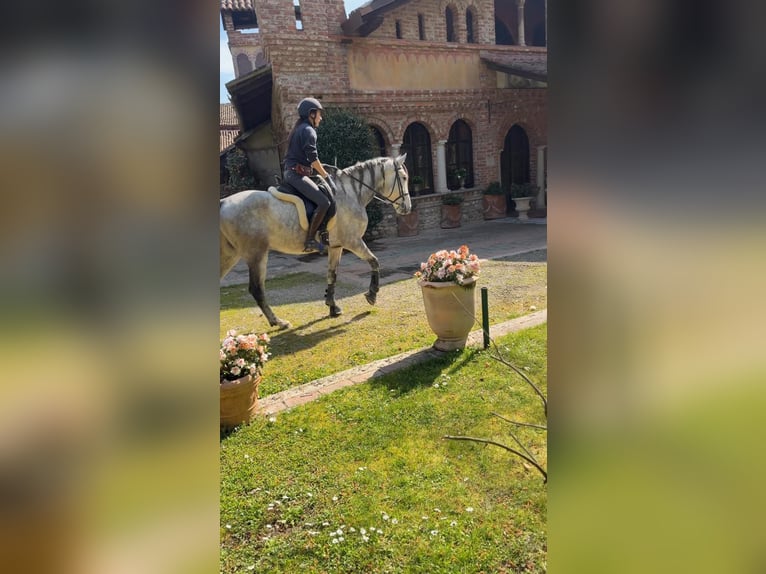 Cruzado Ruin 6 Jaar Schimmel in Cisliano