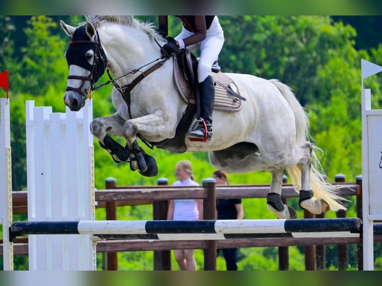 Danese Giumenta 10 Anni 169 cm Grigio in Sabro