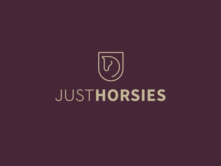 Danish Warmblood Mare 4 years 16,2 hh Brown in Odense
