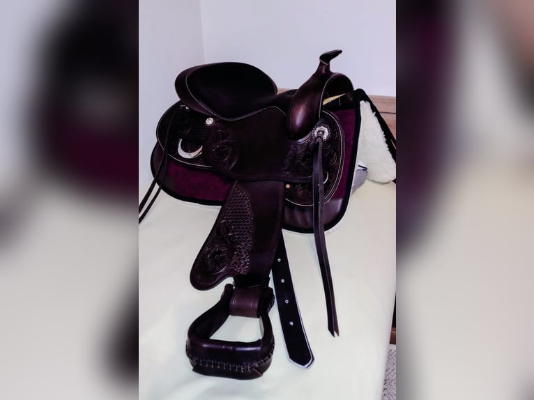 Demi-sang arabe Croisé Hongre 5 Ans 148 cm Léopard in Assling