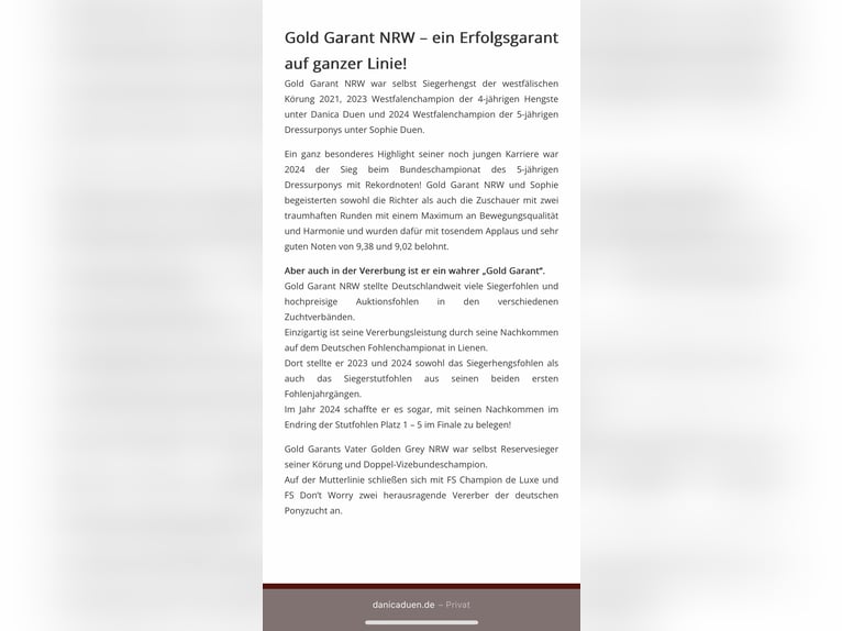 Deutsches Reitpony Hengst Fohlen (06/2025) Buckskin in AlheimAlheim