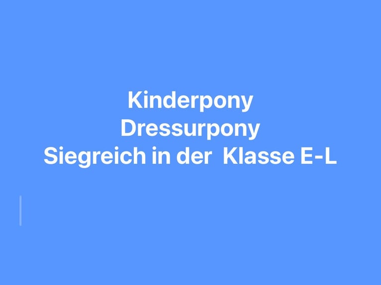 Deutsches Reitpony Stute 10 Jahre 148 cm in Duisburg Deutsches Reitpony Stute 10 Jahre 148 cm in Duisburg