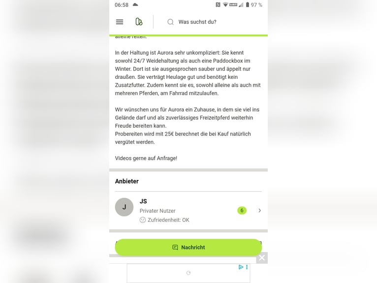 Deutsches Reitpony Mix Stute 11 Jahre 149 cm Schecke in Hahnenknoop