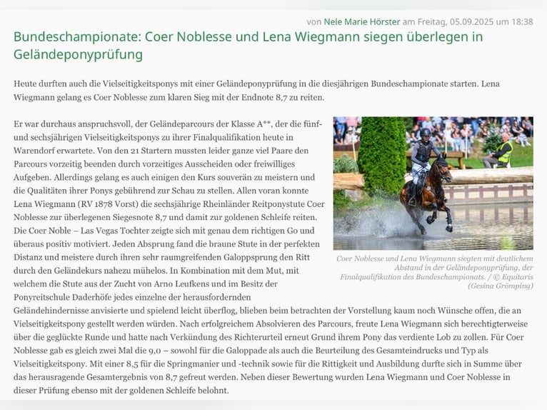 Deutsches Reitpony Stute 6 Jahre 146 cm Brauner in T&#xF6;nisvorst