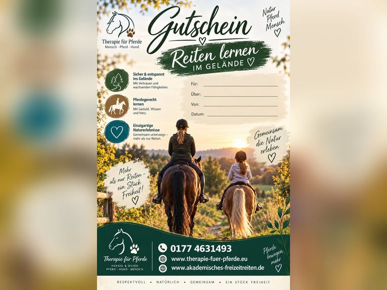 Deutsches Reitpony Wallach 10 Jahre 152 cm  in Viersen