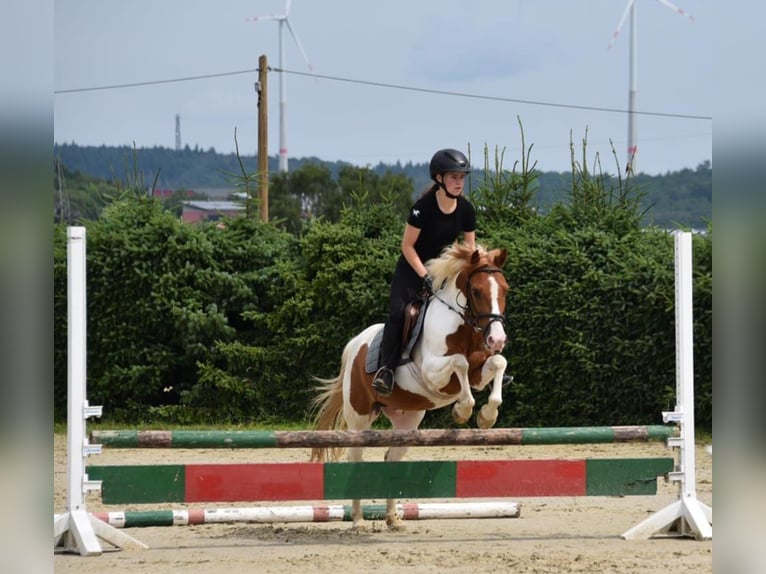 Deutsches Reitpony Mix Wallach 13 Jahre 135 cm Schecke in Hünstetten