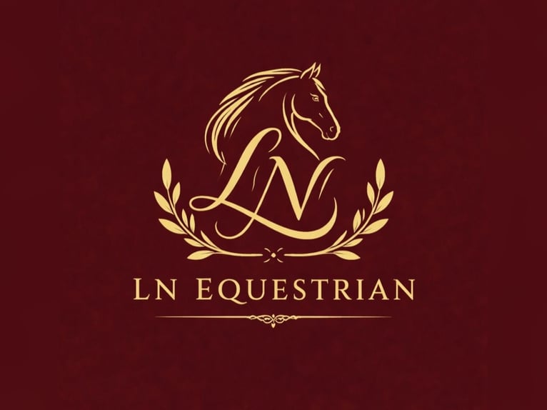 Deutsches Reitpony Wallach 9 Jahre 125 cm Schimmel in Essen