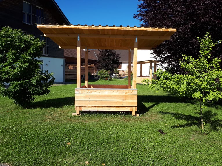 Deutsches Sportpferd Stute 11 Jahre Rappe in Postmünster