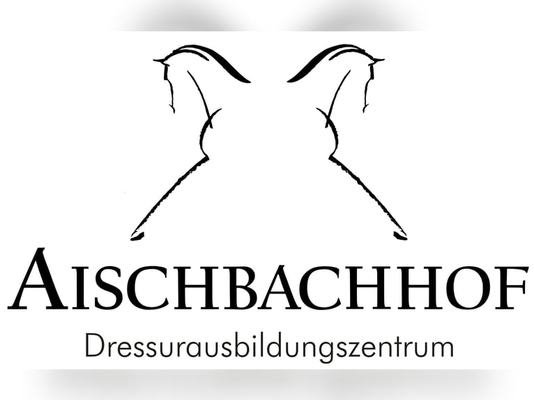 Deutsches Sportpferd Stute 5 Jahre 169 cm Dunkelbrauner in Herrenberg
