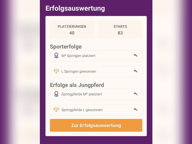 Deutsches Sportpferd Stute 8 Jahre 172 cm Schwarzbrauner in Memmingen