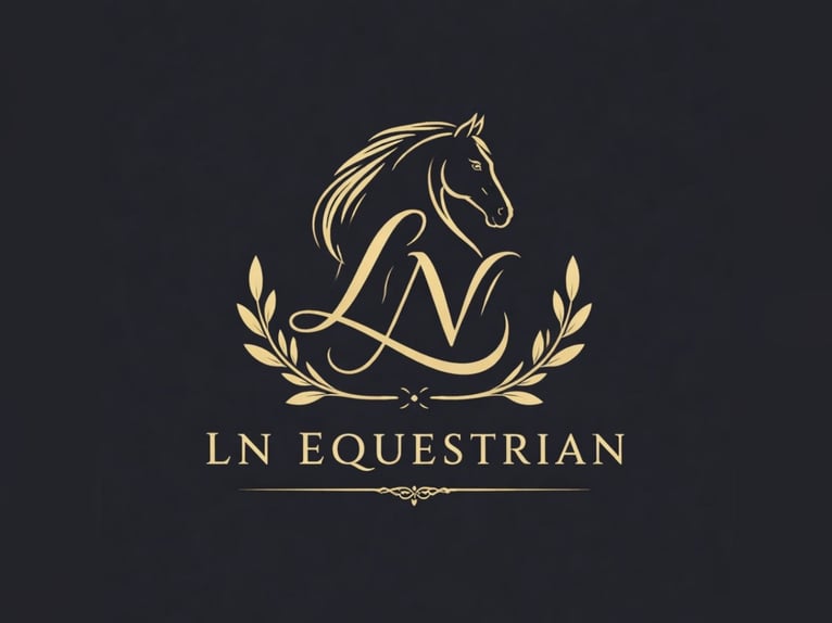 Deutsches Sportpferd Wallach 9 Jahre 160 cm  in Essenessen