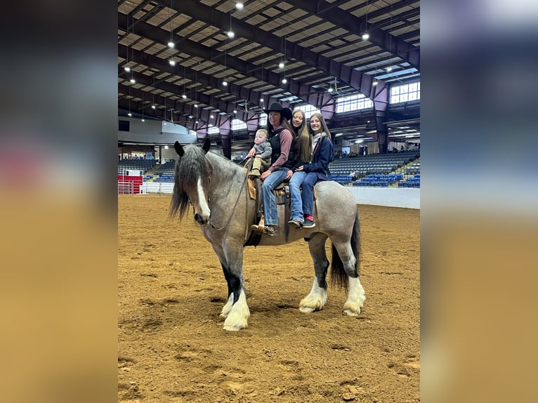 Draft Horse Castrone 10 Anni 175 cm Baio roano in Auburn KY