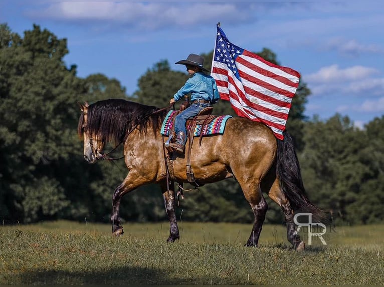 Draft Horse Mix Castrone 9 Anni 157 cm Pelle di daino in Lyles