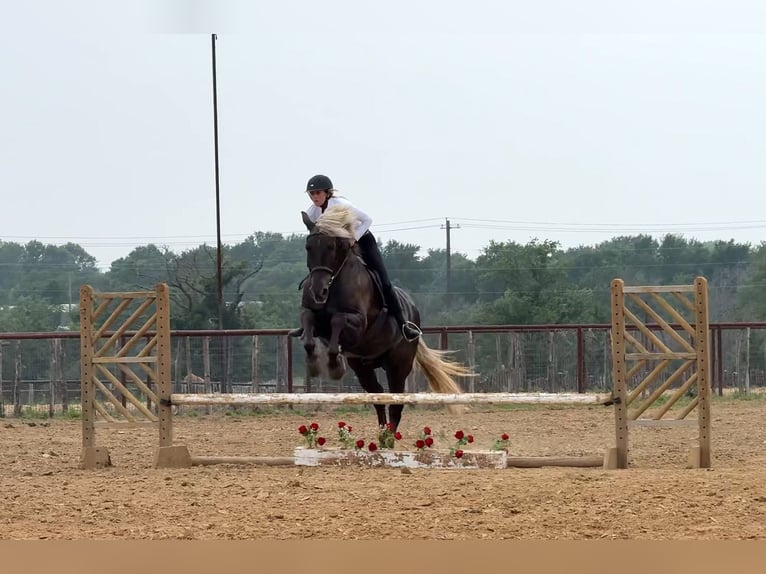 Draft Horse Mix Castrone 9 Anni  in Weatherford