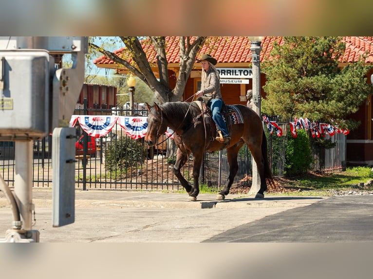 Draft Horse Mix Gelding 11 years 17.2 hh Roan-Bay in Quitman