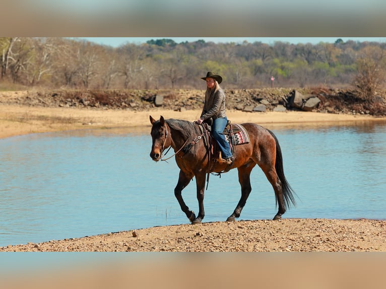 Draft Horse Mix Gelding 11 years 17.2 hh Roan-Bay in Quitman
