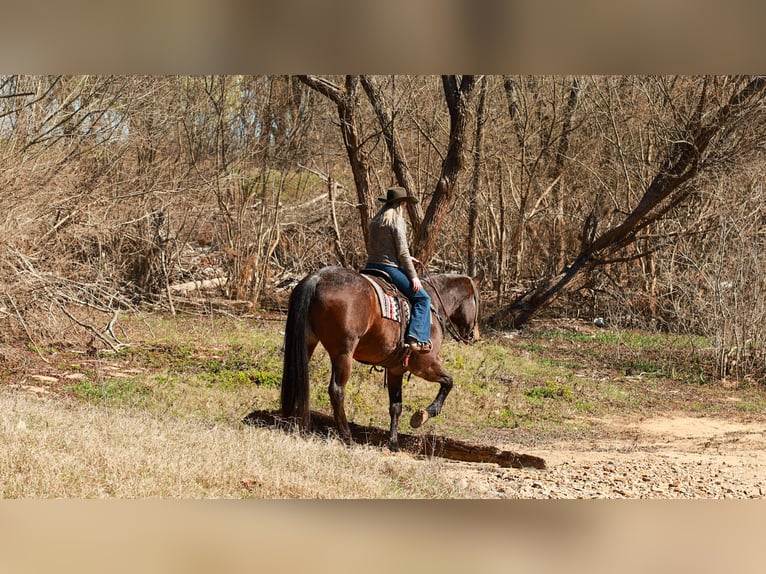 Draft Horse Mix Gelding 11 years 17.2 hh Roan-Bay in Quitman