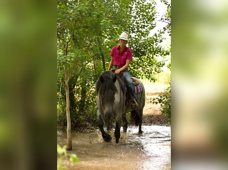 Draft Horse Mix Gelding 6 years 16,2 hh Roan-Blue in Lufkin, TX