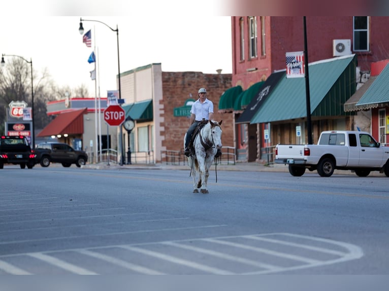 Draft Horse Mix Gelding 7 years 15.3 hh Sorrel in Ripley
