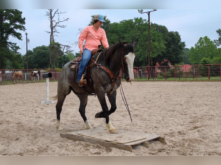 Draft Horse Gelding 7 years Roan-Blue in Rusk TX