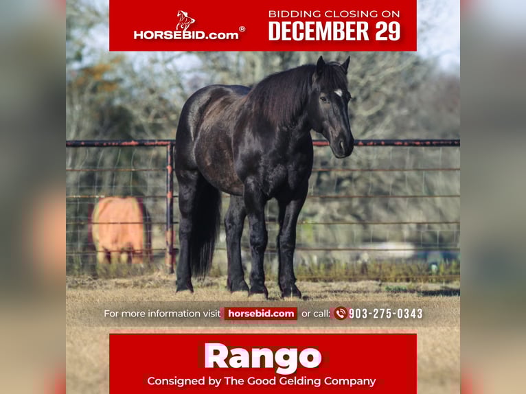 Draft Horse Mix Gelding 9 years 15,3 hh Roan-Blue in Athens