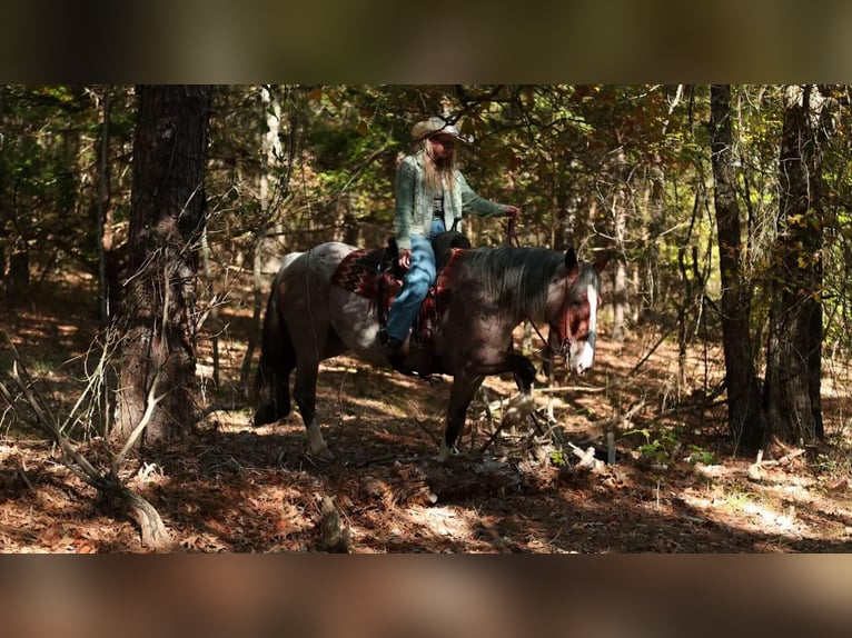 Draft Horse Mix Mare 4 years 15 hh Roan-Bay in Quitman Draft Horse Mix Mare 4 years 15 hh Roan-Bay in Quitman
