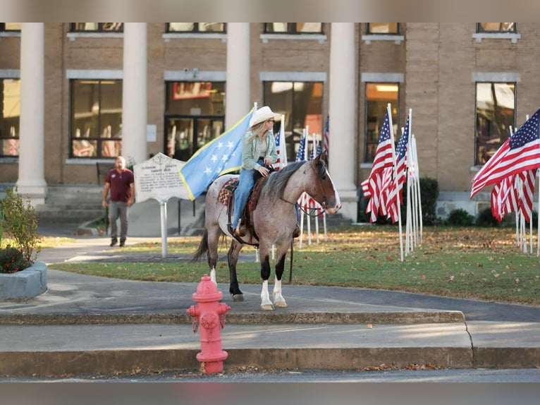 Draft Horse Mix Mare 5 years 15 hh Roan-Bay in Quitman