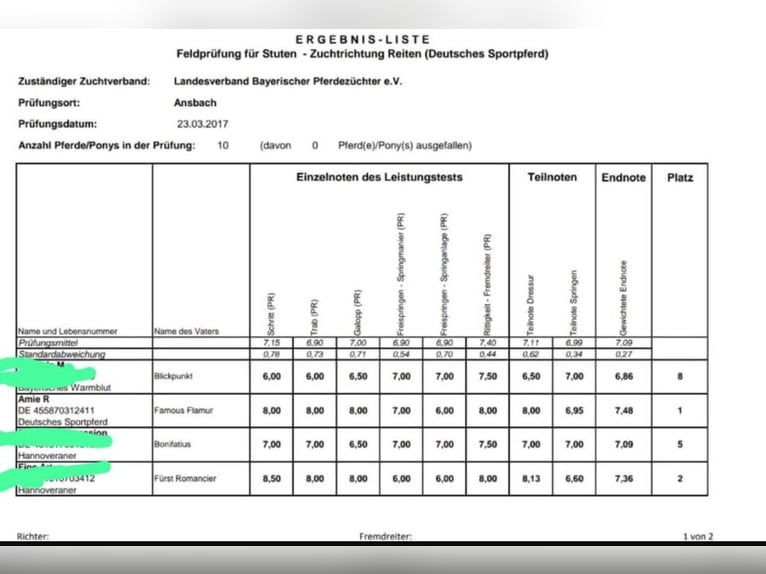 Duits rijpaard Merrie 15 Jaar 173 cm Bruin in Wimsheim