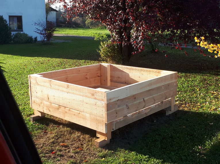 Duits sportpaard Merrie 11 Jaar Zwart in Postmünster