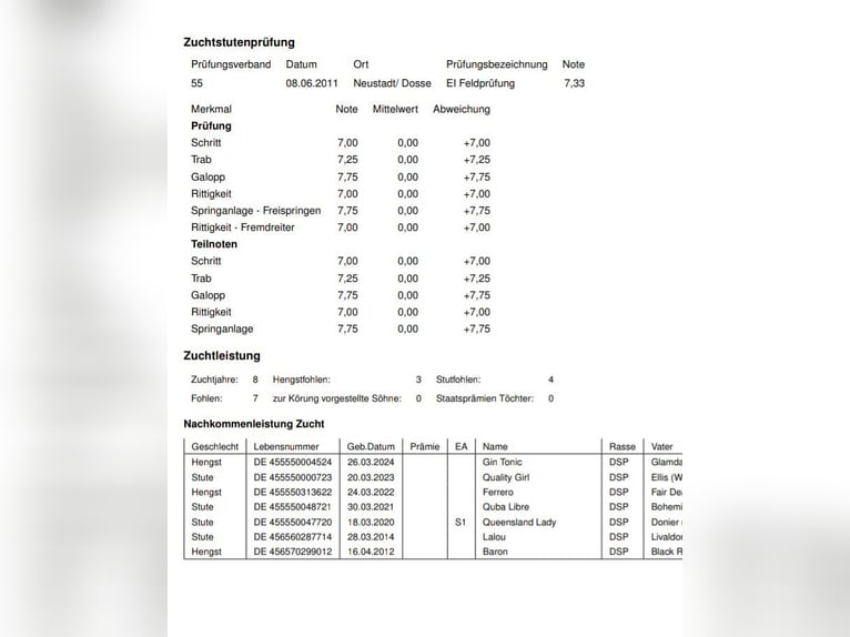 Duits sportpaard Merrie 16 Jaar 172 cm Vos in Frauenstein