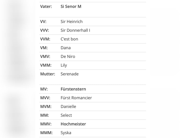 Duits sportpaard Merrie veulen (04/2024) 175 cm Vos in Görlitz