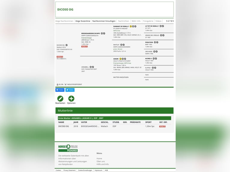 Duits sportpaard Ruin 7 Jaar 168 cm Bruin in Dobersch&#xFC;tzEilenburg