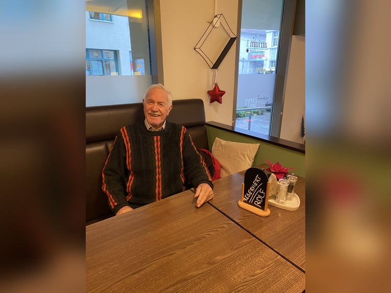 Duitse rijpony Hengst 1 Jaar 148 cm Buckskin in Achim