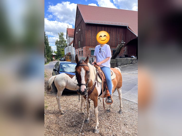 Duitse rijpony Merrie 14 Jaar 149 cm Tovereo-alle-kleuren in Fichtenberg