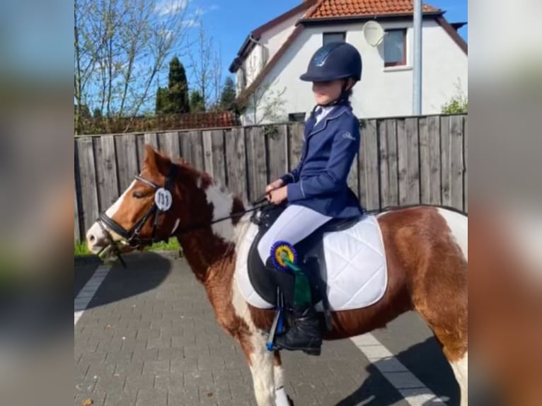 Duitse rijpony Merrie 8 Jaar 125 cm Gevlekt-paard in Adelheidsdorf