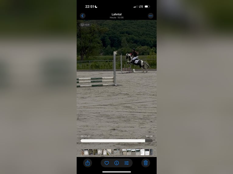 Duitse rijpony Ruin 12 Jaar 145 cm Gevlekt-paard in FronhausenFronhausen