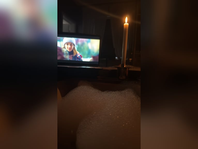 Duitse rijpony Ruin 2 Jaar 146 cm Falbe in Buchholz in der Nordheide