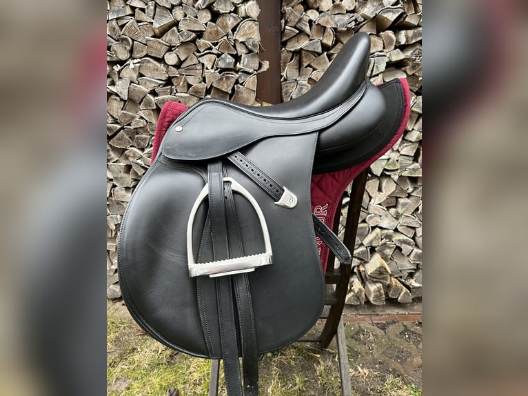 Duitse rijpony Ruin 6 Jaar 138 cm Zwart in Roggentin