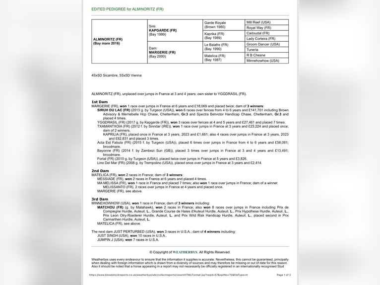 Engels volbloed Merrie 10 Jaar 168 cm Bruin in Gouffern en Auge