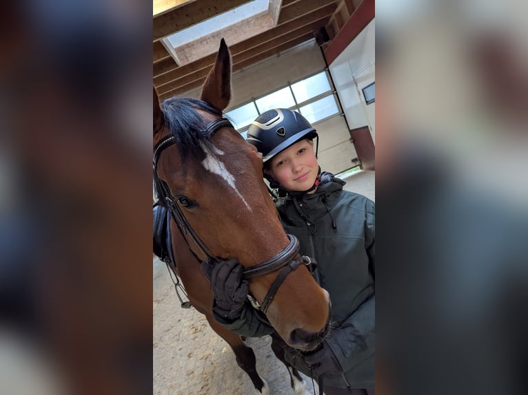 Fanatieke ruiter zoekt paard