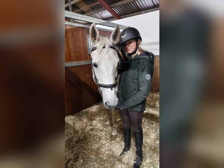 Fanatieke ruiter zoekt paard
