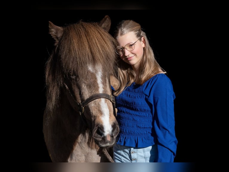 Fanatieke ruiter zoekt paard