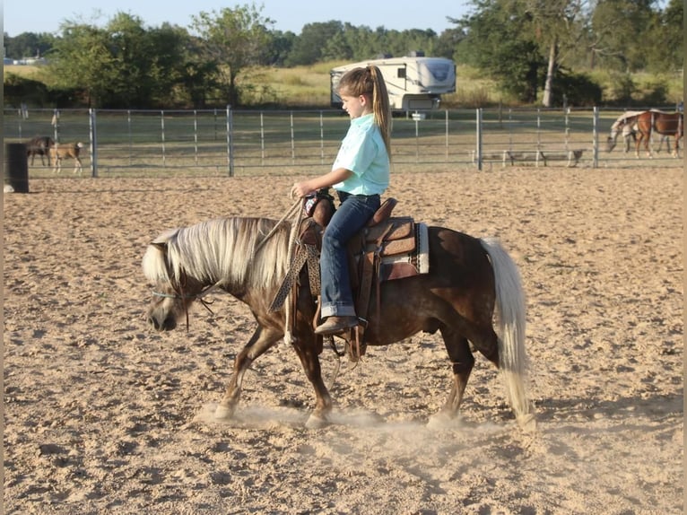 Fler ponnyer/små hästar Valack 13 år 99 cm Palomino in Carthage, TX