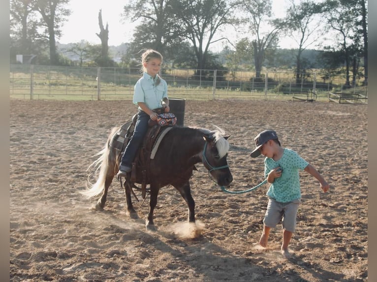 Fler ponnyer/små hästar Valack 13 år 99 cm Palomino in Carthage, TX